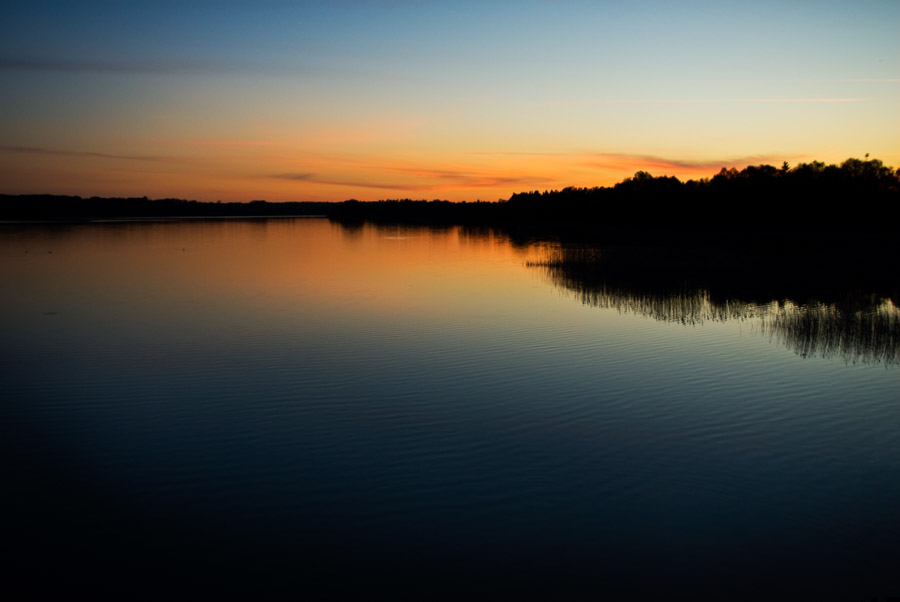 Landscape